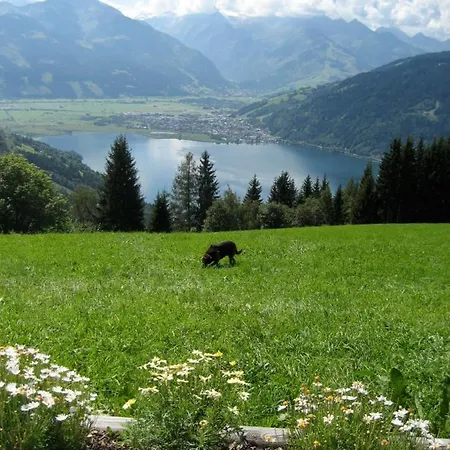 Gadenstaetter In Der