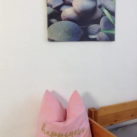 Apartment Gadenstaetter In Der City Zell am See