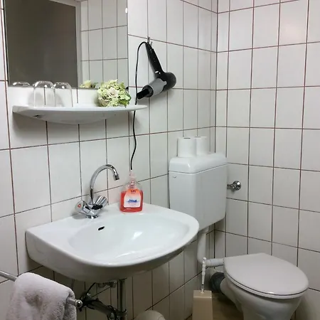 Gadenstaetter In Der City Apartment Zell am See