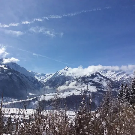 Apartment Gadenstätter In Der City Zell am See